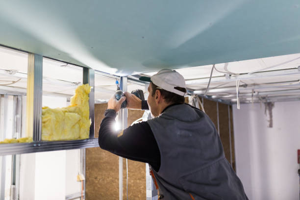 Best Residential Insulation in Baraboo, WI