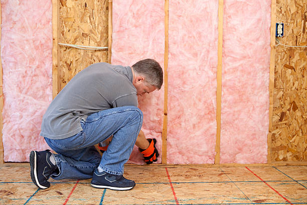 Best Fiberglass Insulation in Baraboo, WI